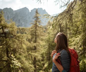 Wanderung auf dem Höfeweg