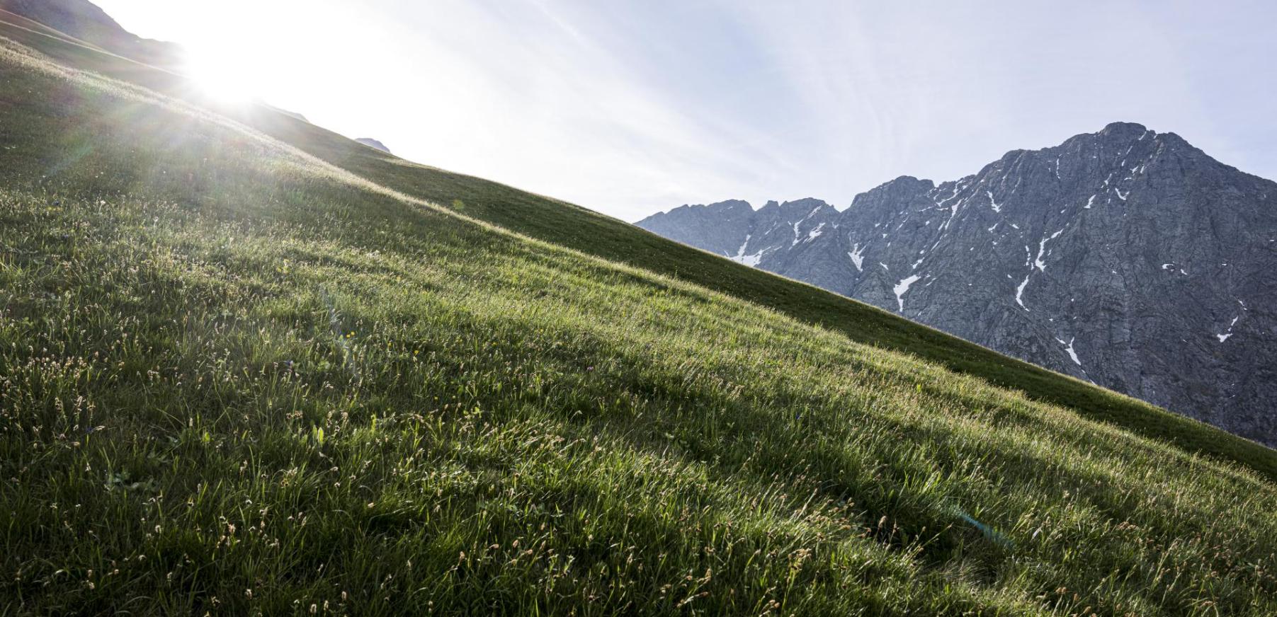 Die Dolomiten im Frühling