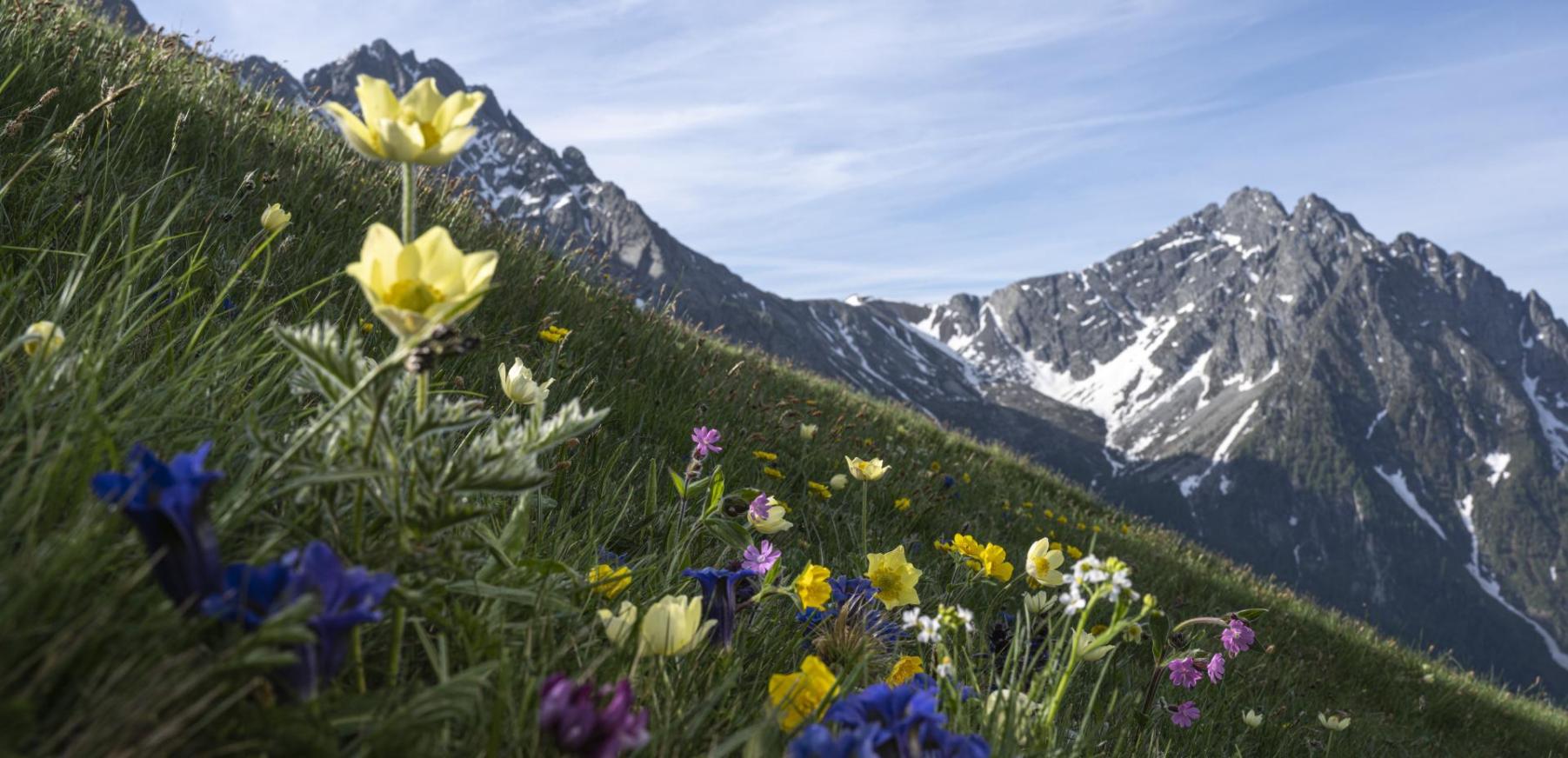 Frühling in den Dolomiten