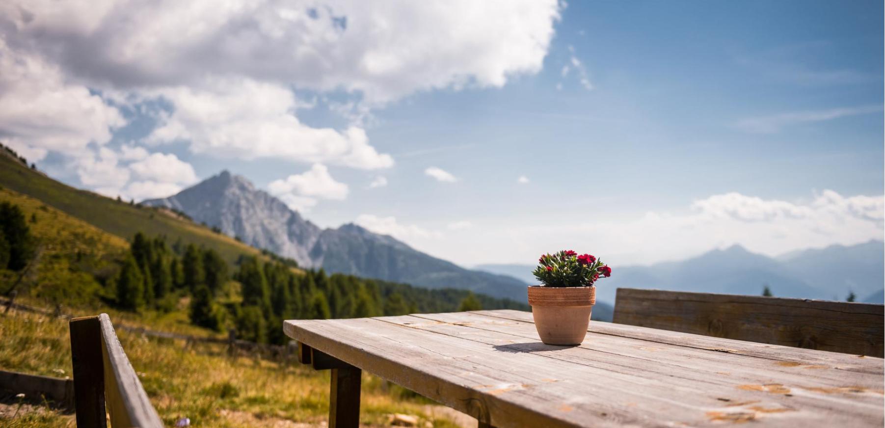 Auf der Almhütte