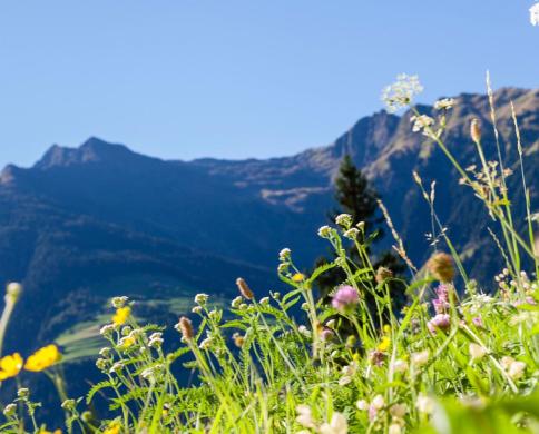 tvb-wandern-06