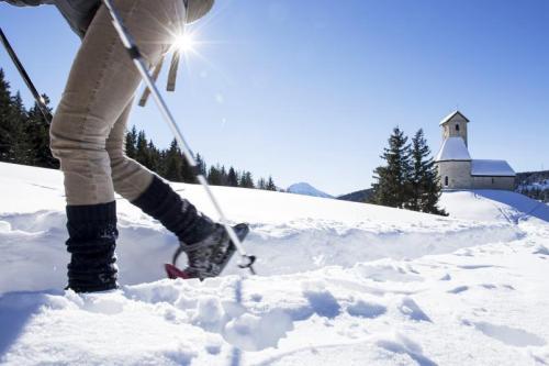 ortler-skiarena-alex-filz
