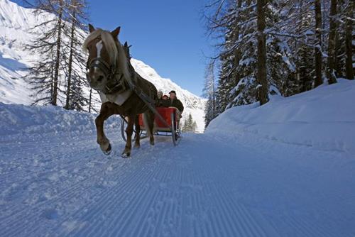 ortler-skiarena-alex-filz-2