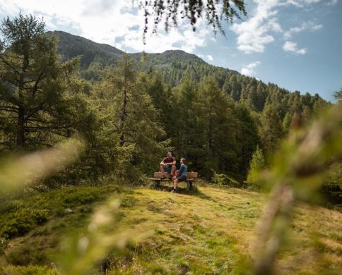 Wandern im Sommer