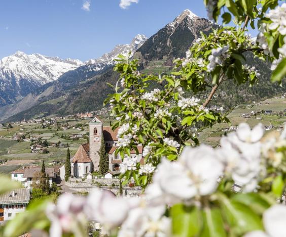 4 Sterne Hotel Schenna Verbringen Sie Einen Entspannten Urlaub