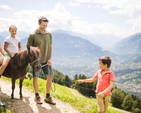 Ponyreiten